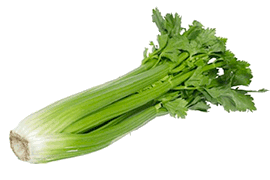 Picture of celery stalks with leaves.